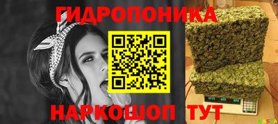 СК Краснодар